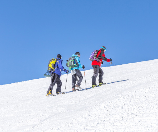 Antarctica Expedition